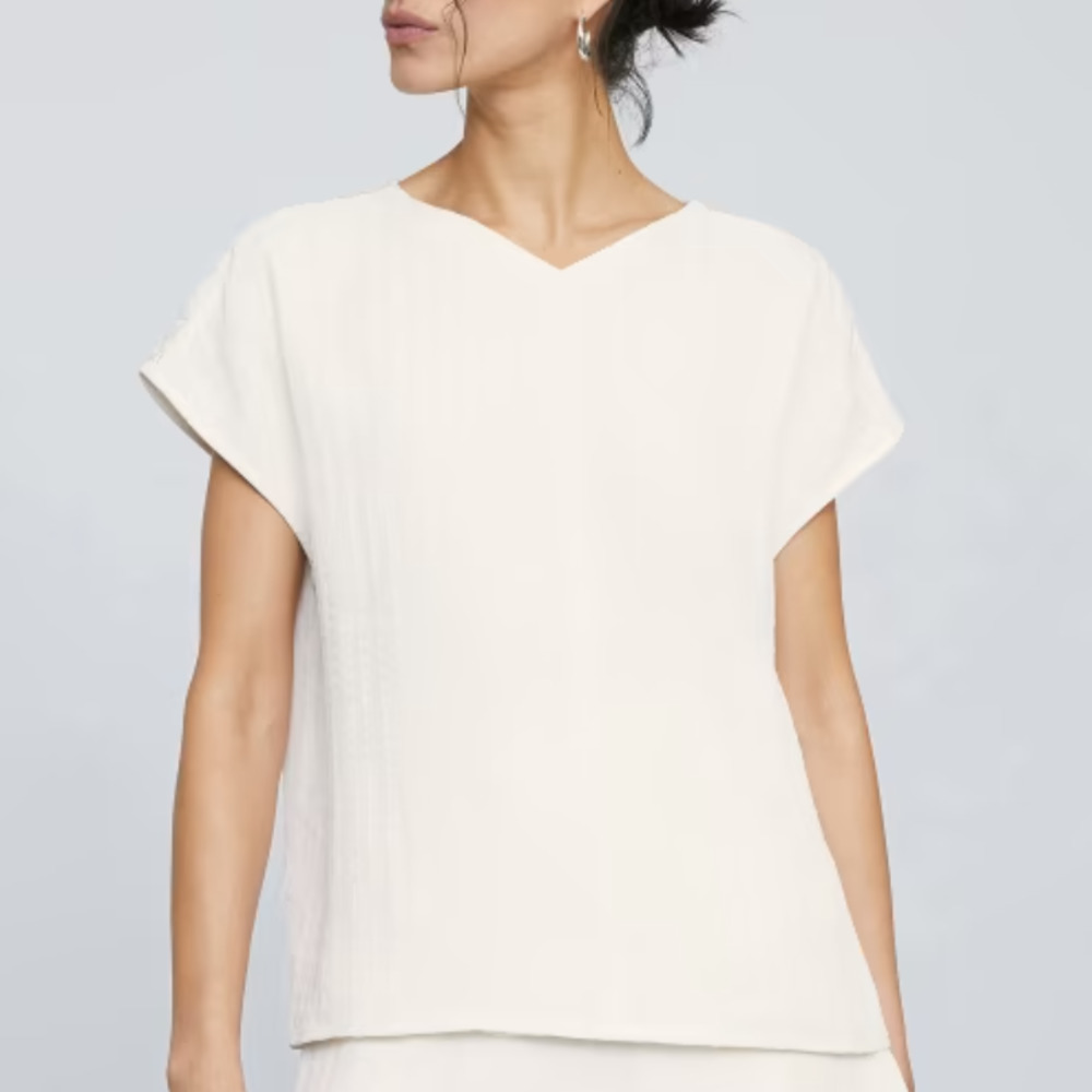 NWT Everlane The City Stripe V-Neck Top in Bone